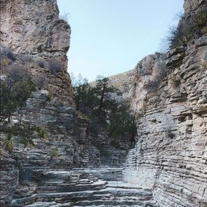 Meet your Posher, Carla